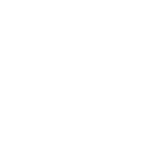 Team Viets - Haushaltsauflösung - Zoom-Symbol