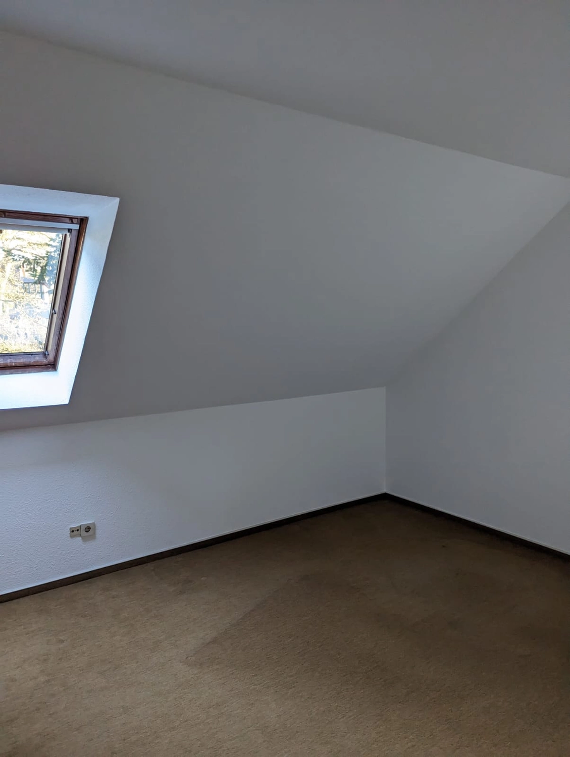 Team Viets - Haushaltsauflösung - leerer Raum